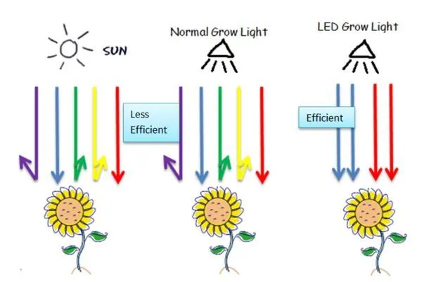 How do LED Grow Lights Work