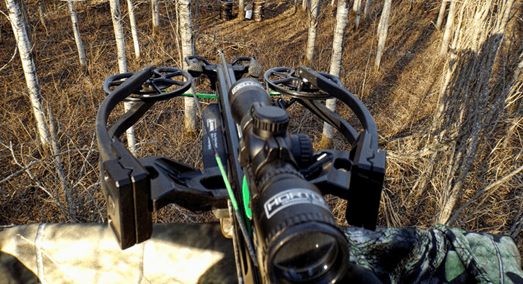 How to Find the Right Crossbow for You