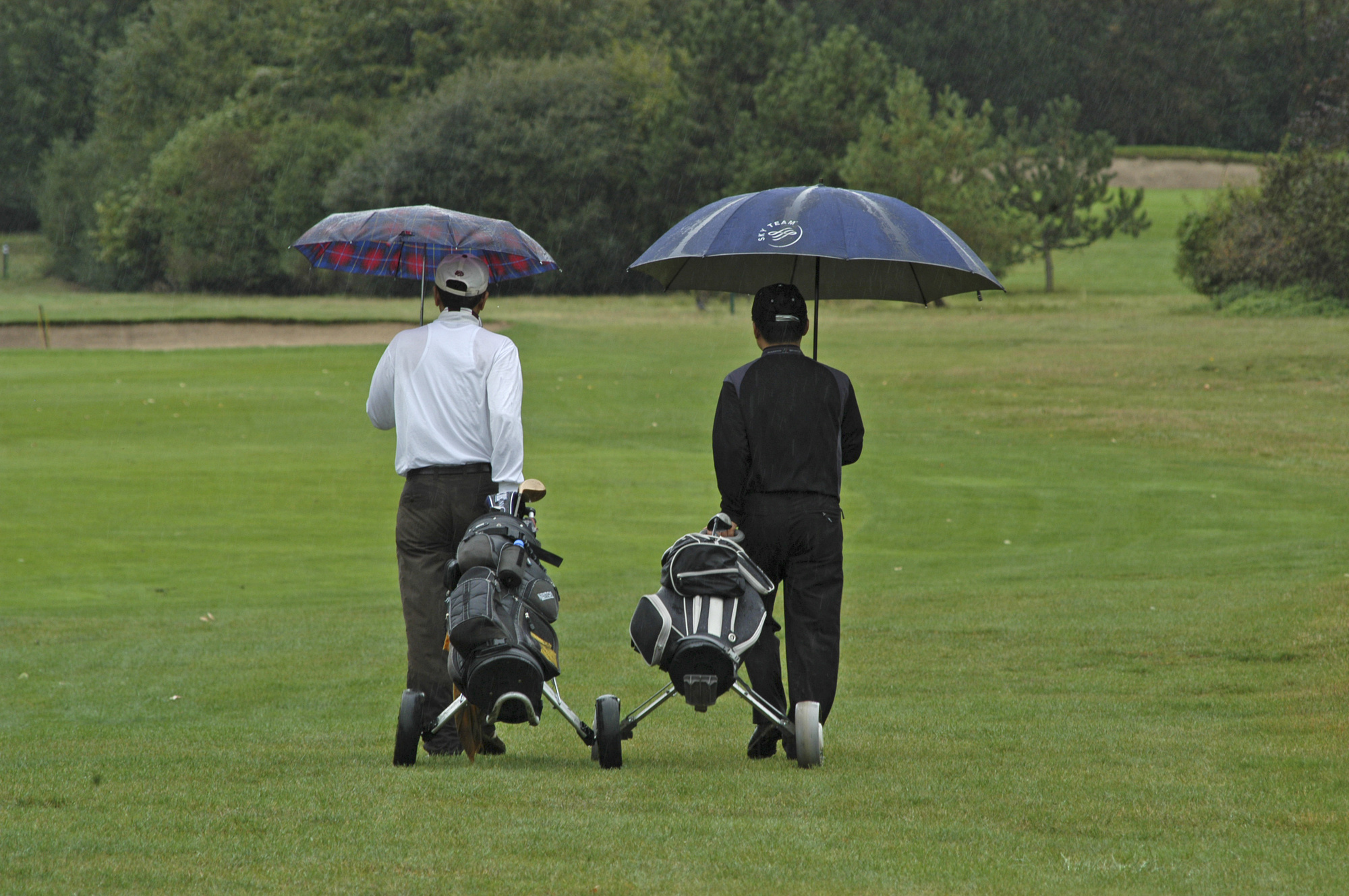 The Best Umbrellas for Golf