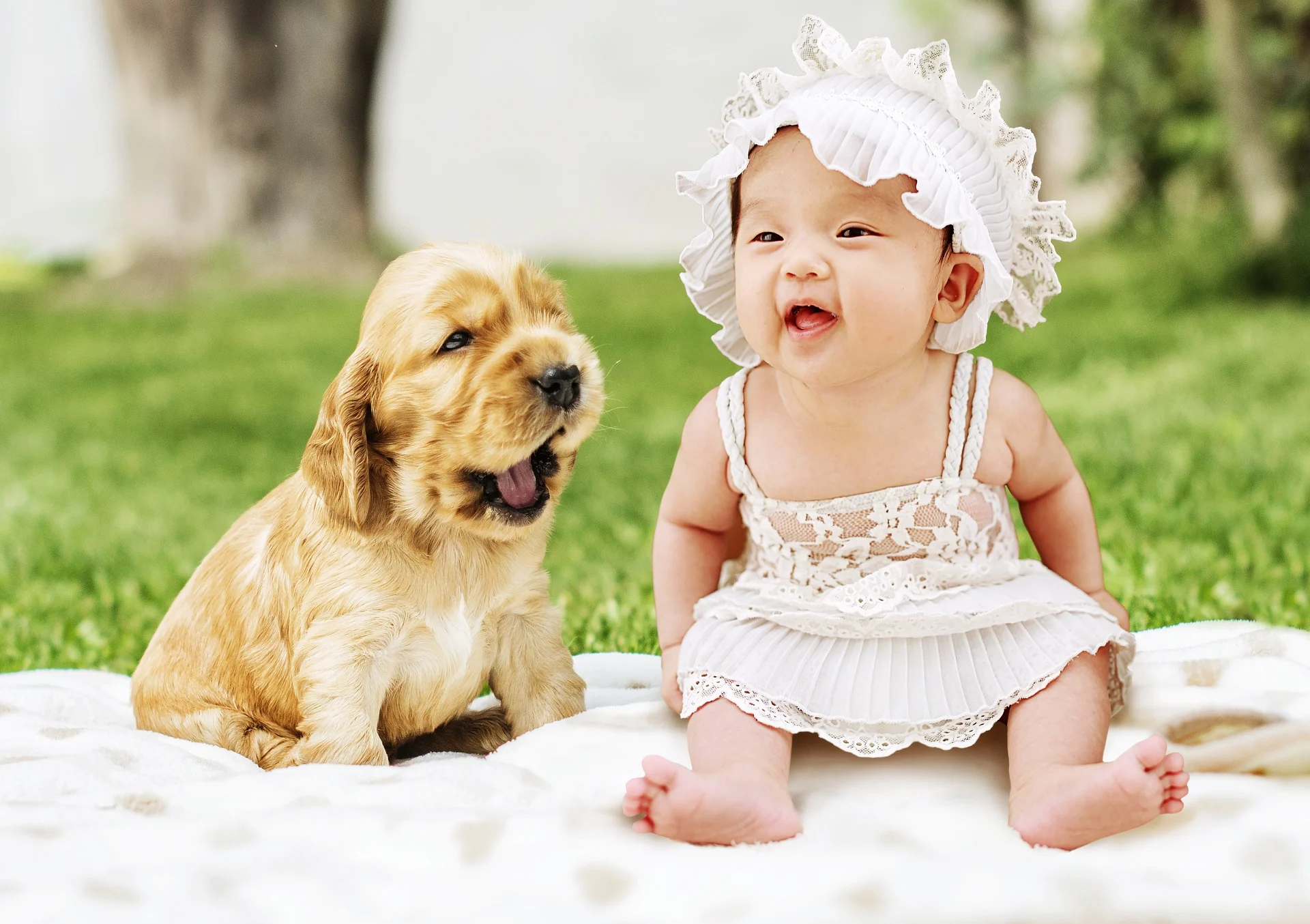 how to introduce pets to a baby