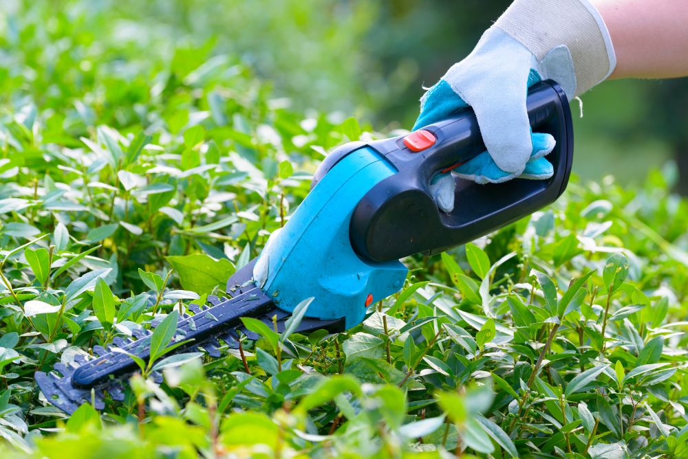 Battery Power Hedge Trimmer