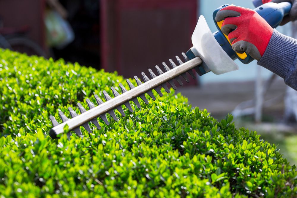 The Best Battery-Powered Hedge Trimmers in 2023