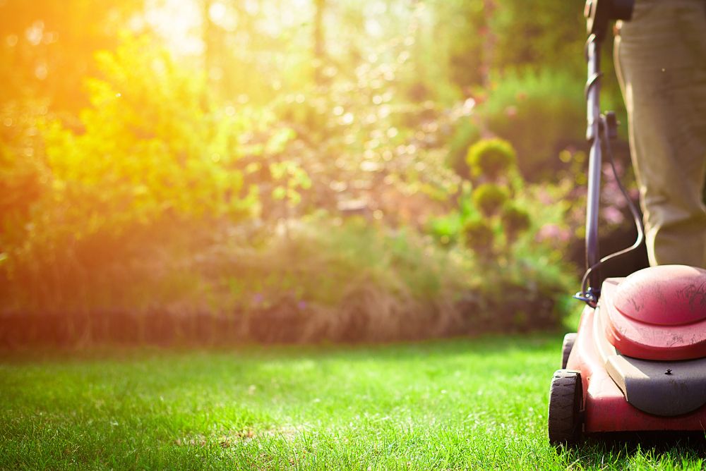 Electric vs. Gas Lawn Mowers: Which Is Better?
