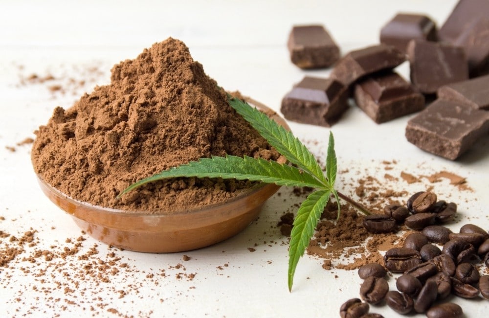 Cacao vs. Cocoa – Differences in Cooking, Baking, and Health Benefits