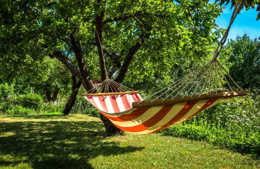 How to Hang a Hammock from a Tree