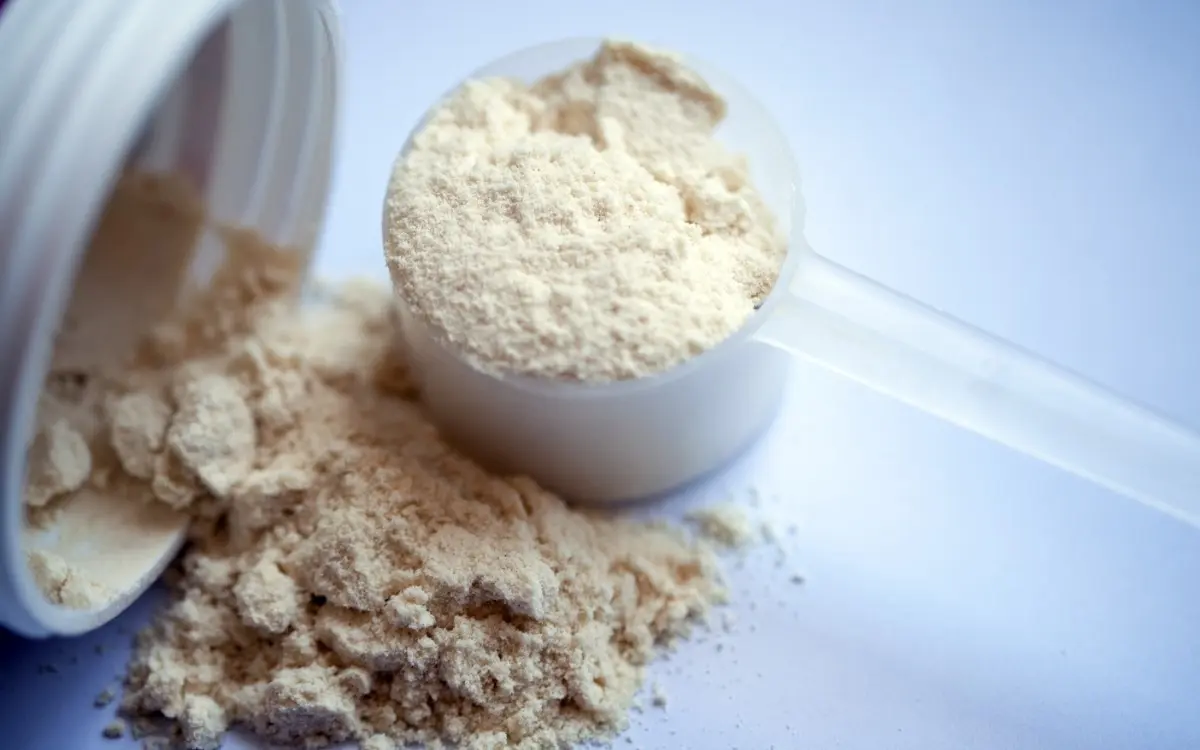 Best Vegan Protein Powder