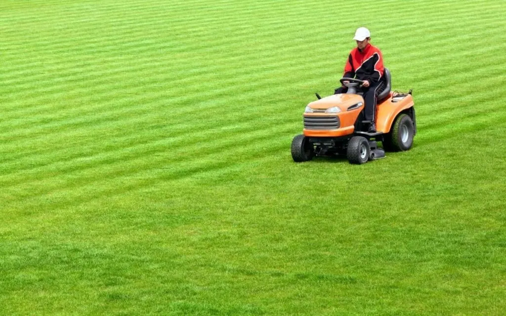 Lawn Tractor vs Garden Tractor on Field