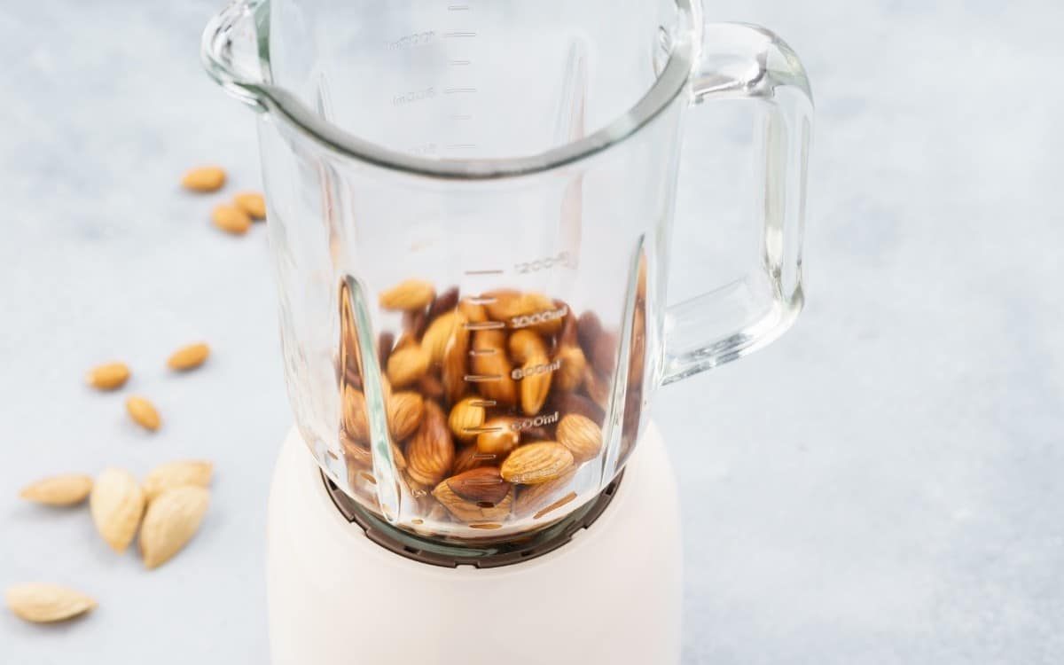 9 Best Food Processors for Nut Butter in 2024 shelf