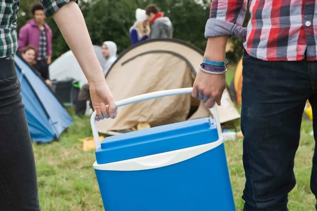 Best Cooler for Camping