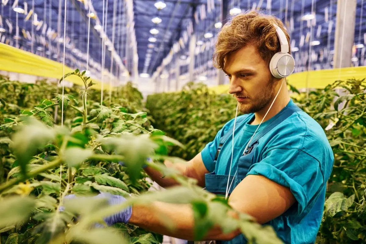 7 Best Gardening Podcasts in 2025