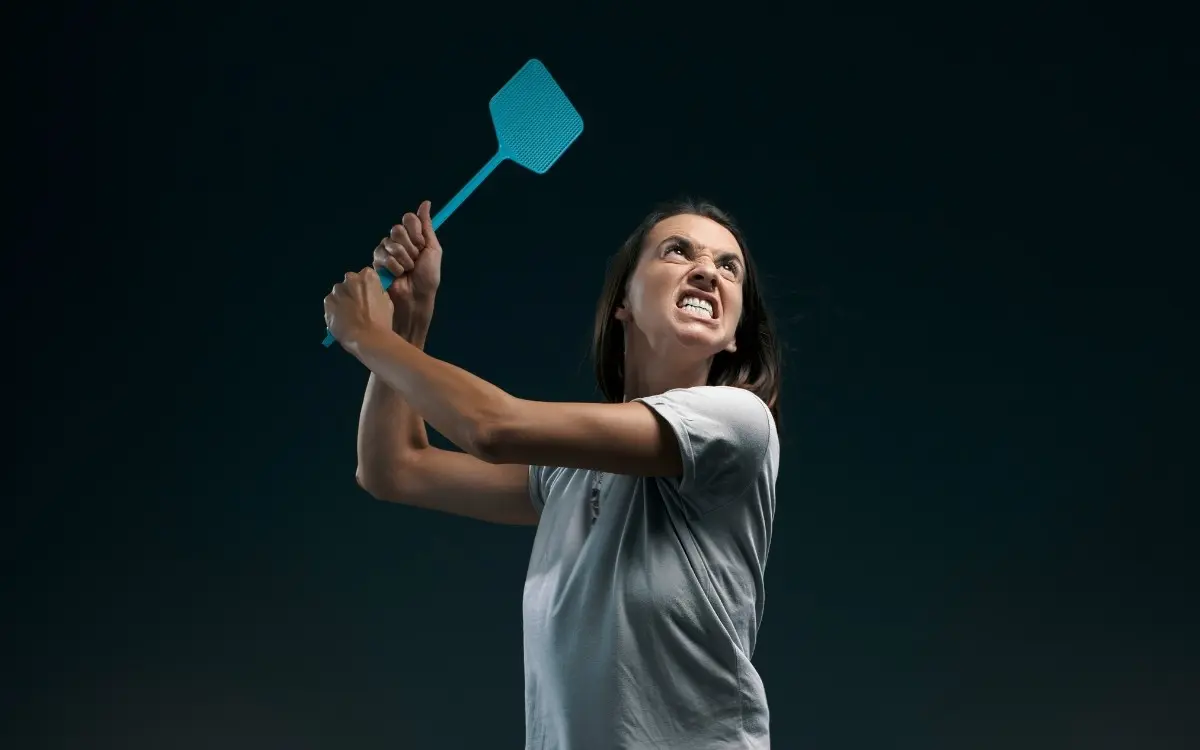 How to Get Rid of Fruit Flies in the House