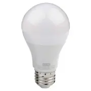 Genie Light Bulb-60 Watt