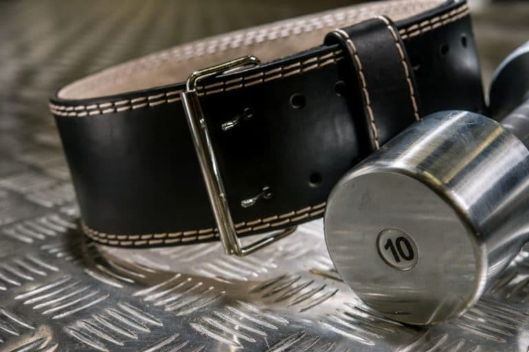 7 Best Weight Lifting Belts in 2023 shelf