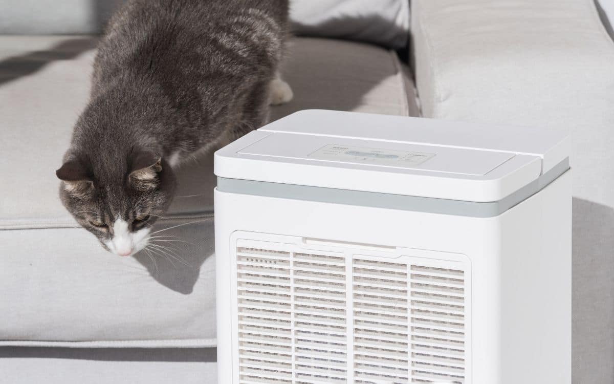 10 Best Air Purifiers for Pet Odors in 2023