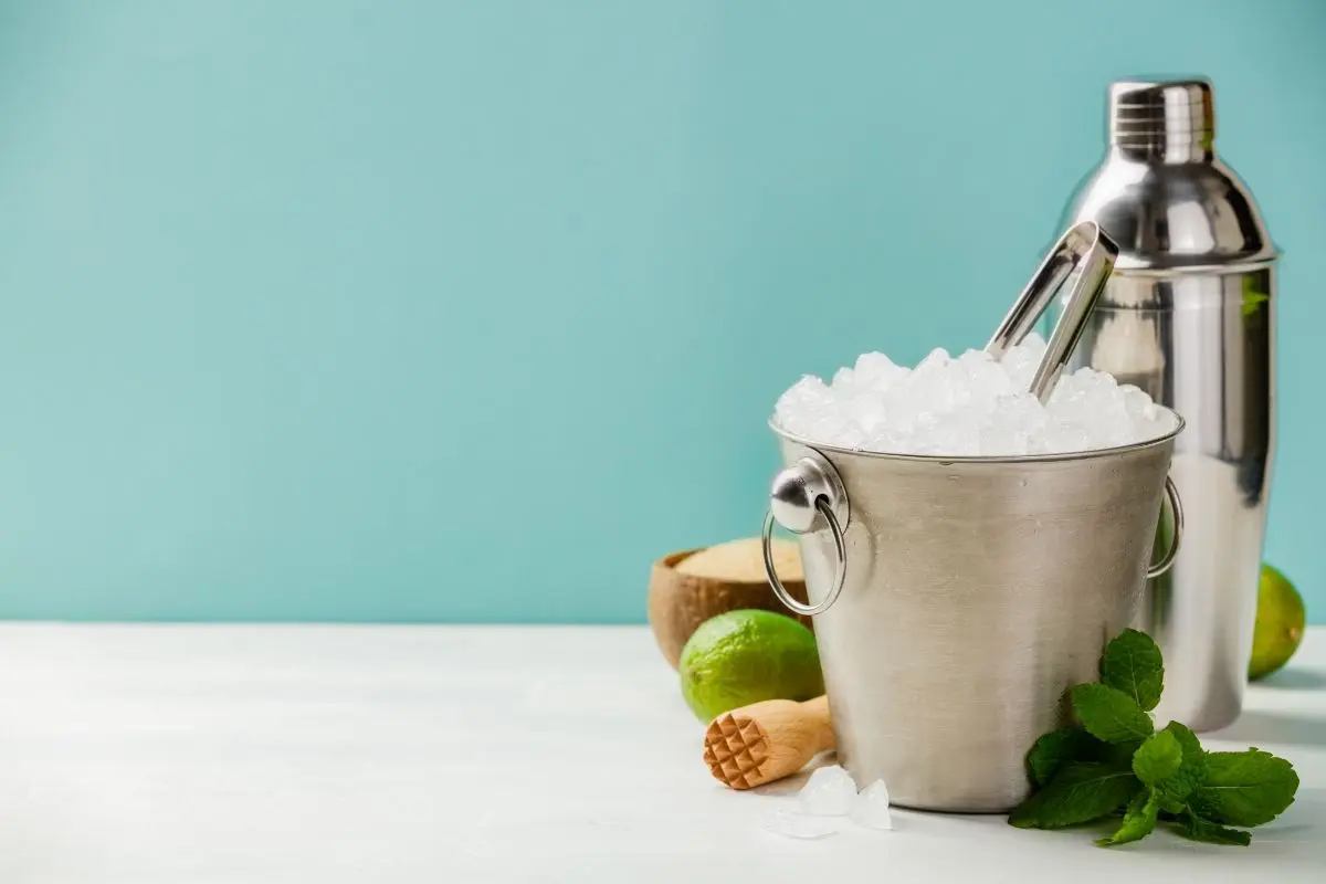 Best Portable Ice Makers