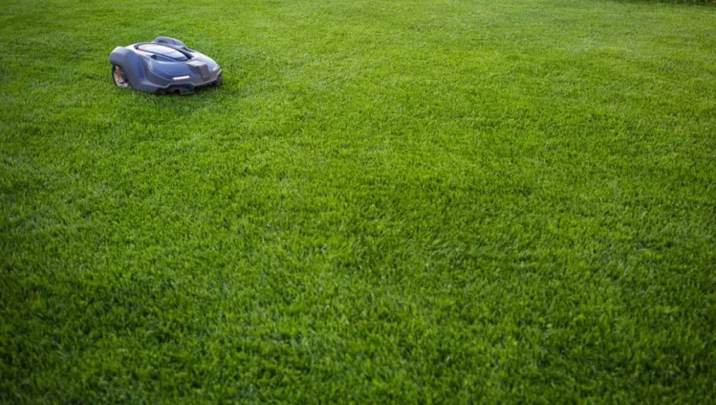 Best Robot Lawn Mowers Featured