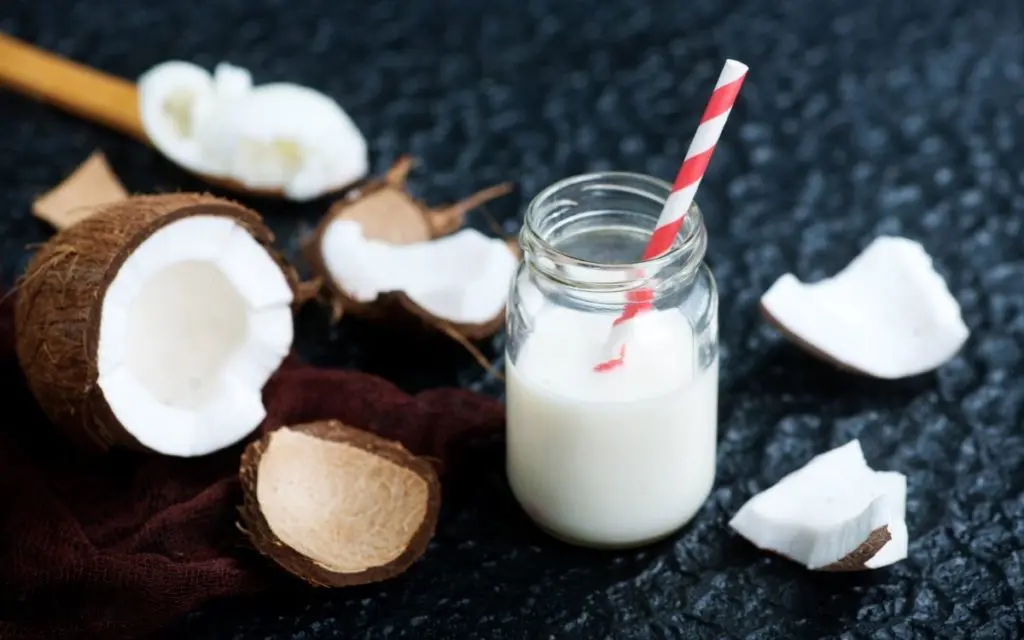 Coconut Milk best milk alternatives for toddlers