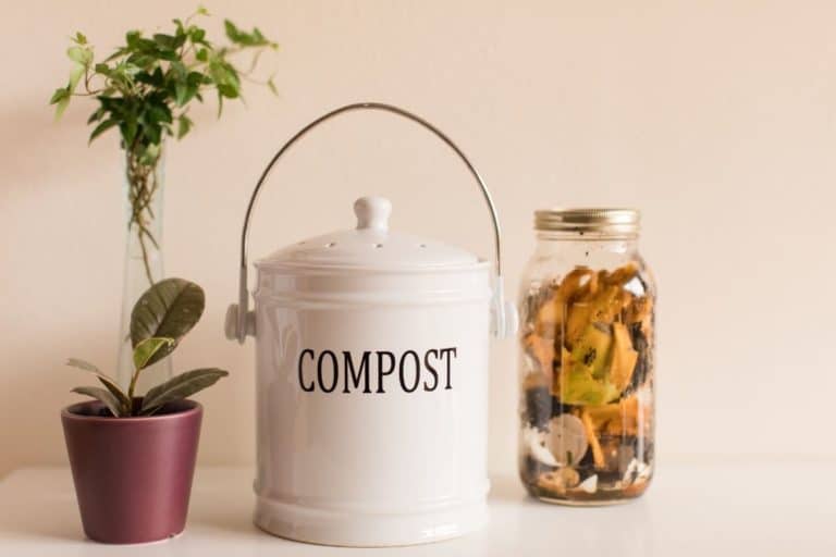 How to Compost in an Apartment Reduce Your Carbon Footprint shelf