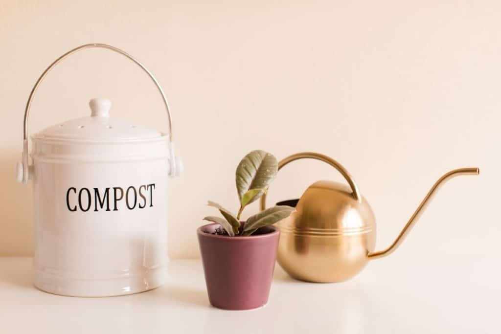 How to Compost in an Apartment - Bin, Plant, Water