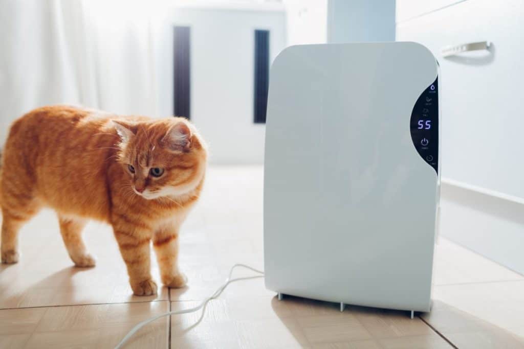 Pet allergies with Humidifiers vs Dehumidifiers