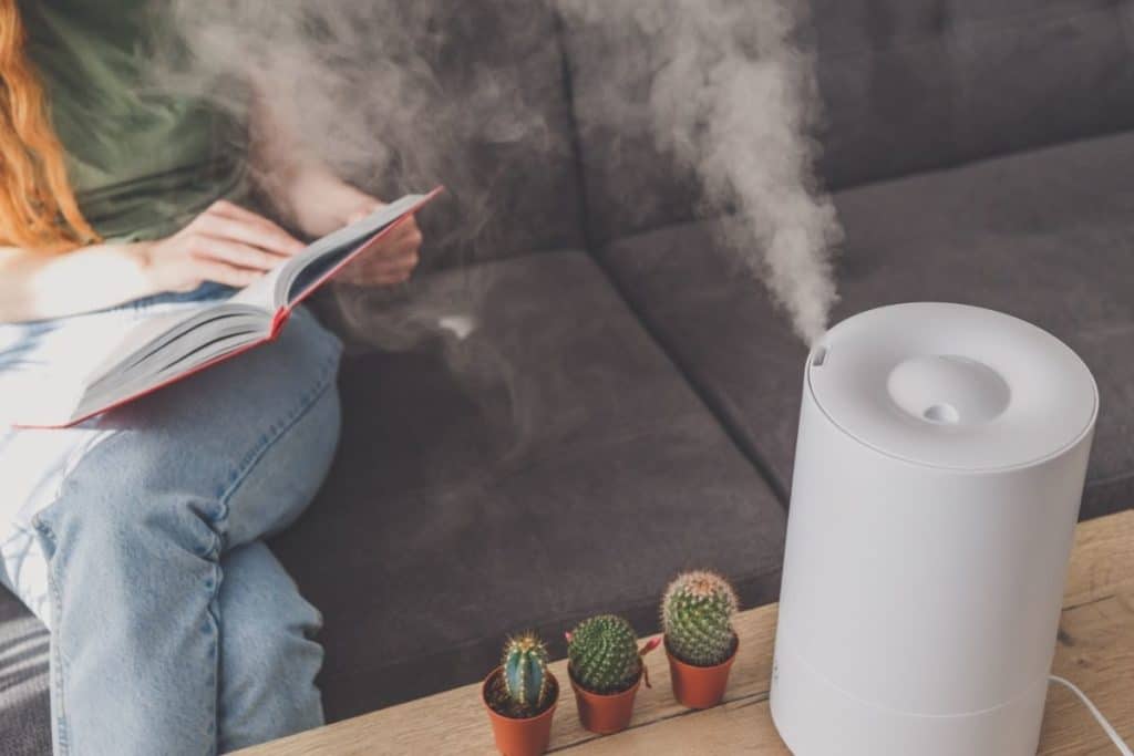 Reading while learning of Humidifiers vs Dehumidifiers