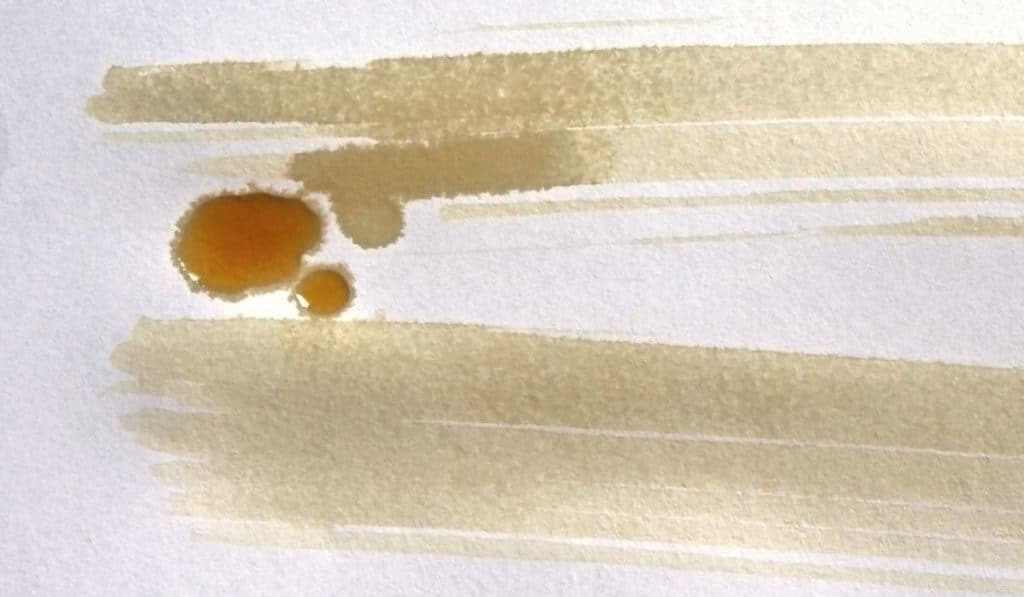 Staining Paper With Coffee and Tea