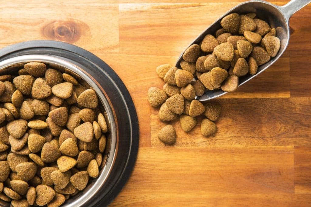 The Best Limited Ingredient Dog Foods