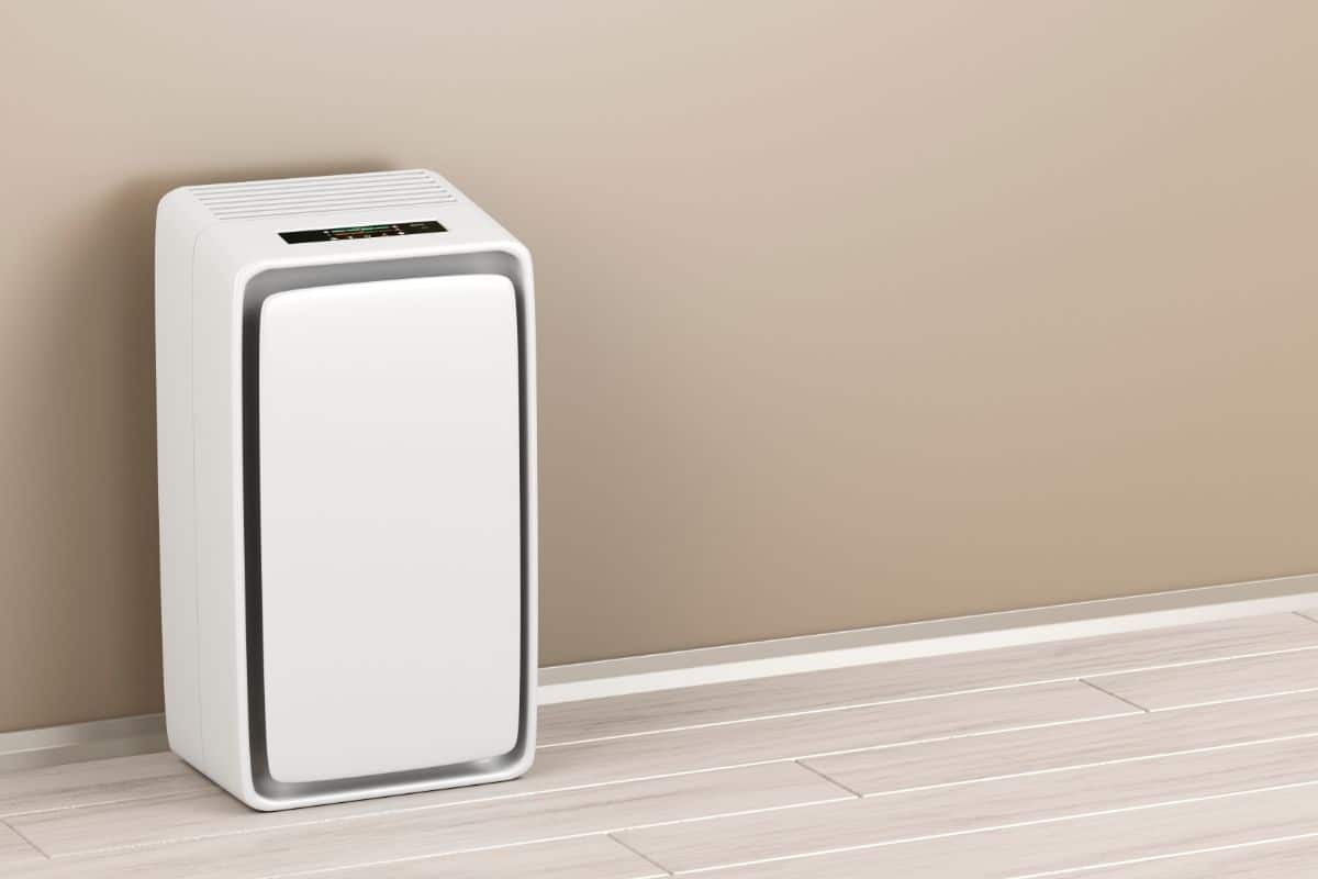 The 4 Best Air Purifiers for Mold in 2024
