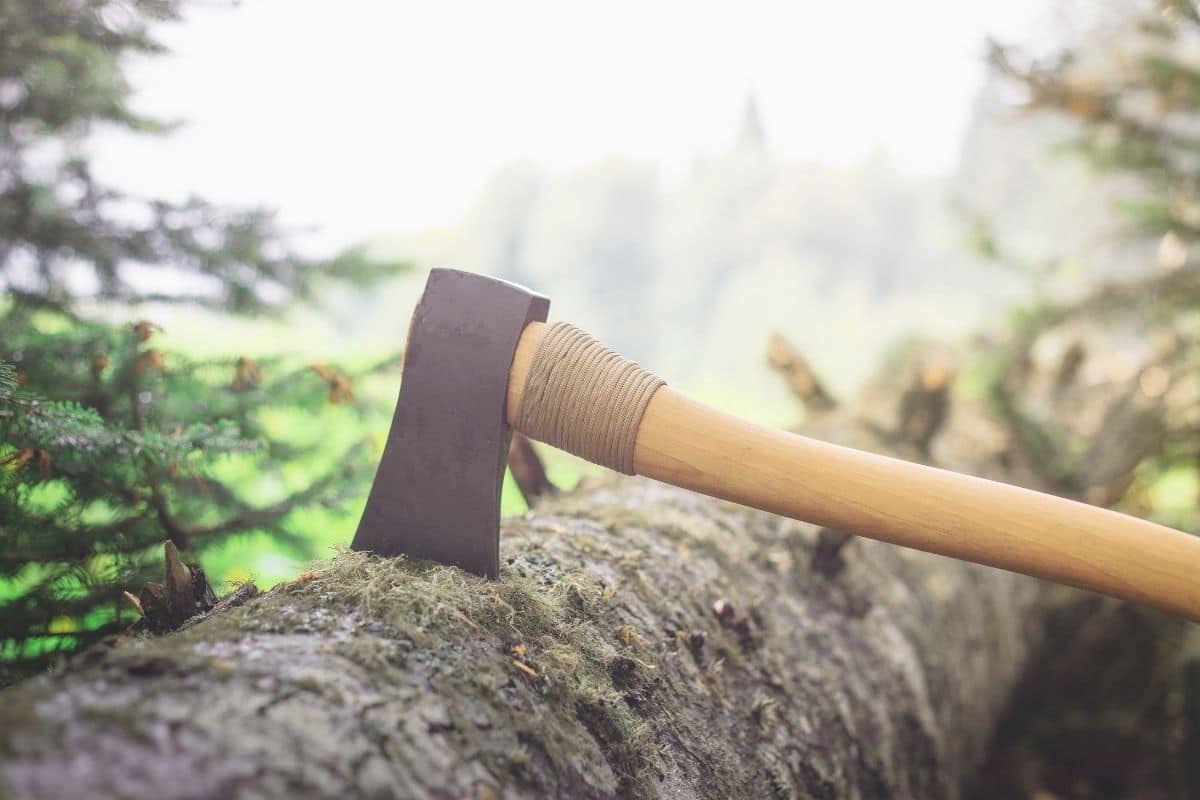 7 Best Camping Hatchets in 2022
