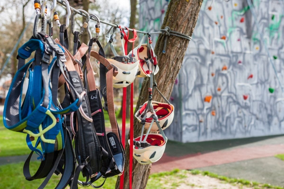 7 Best Climbing Harnesses in 2022