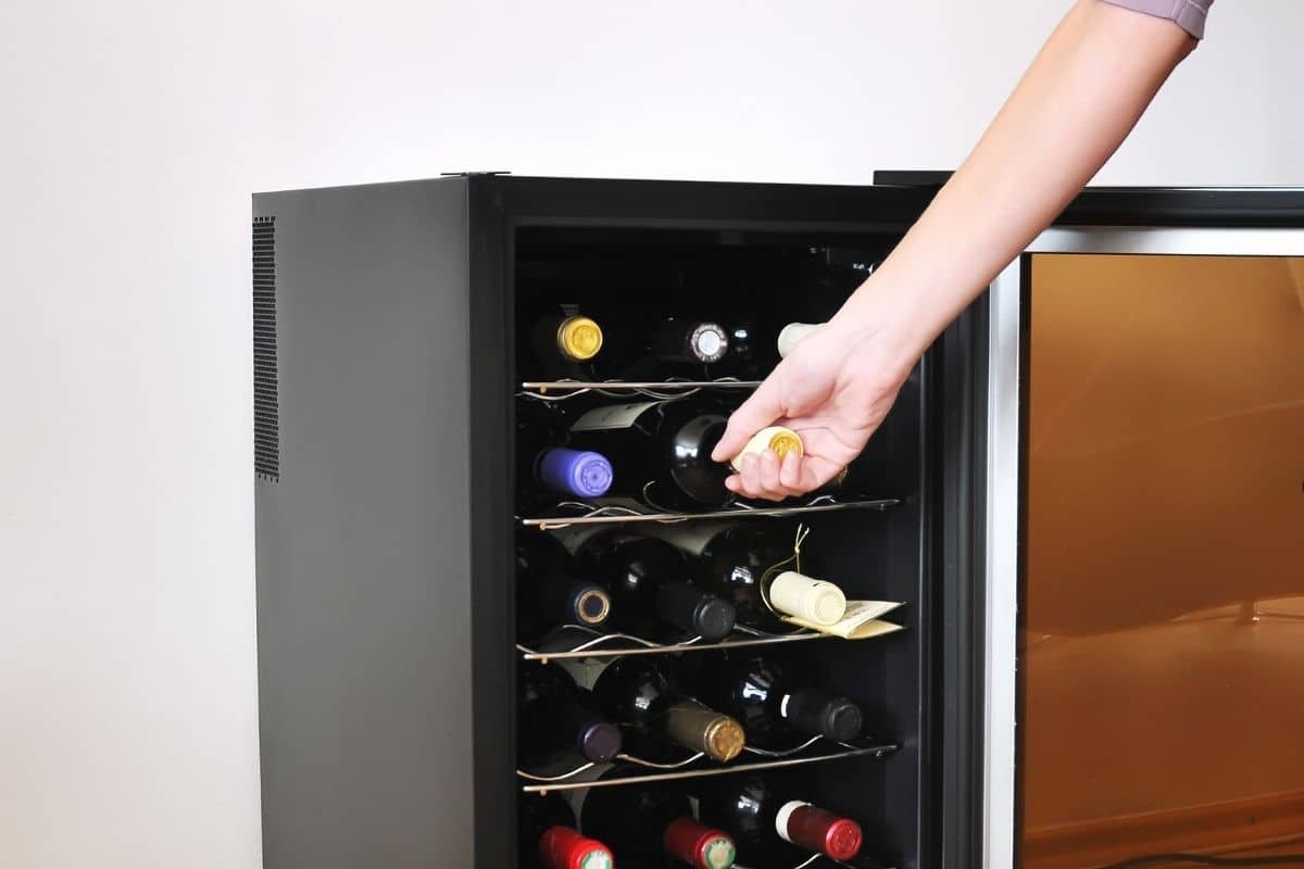 7 Best Wine Coolers in 2024