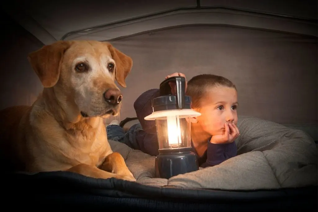Child and Dog Using one of the Best Tents for Camping with Dogs