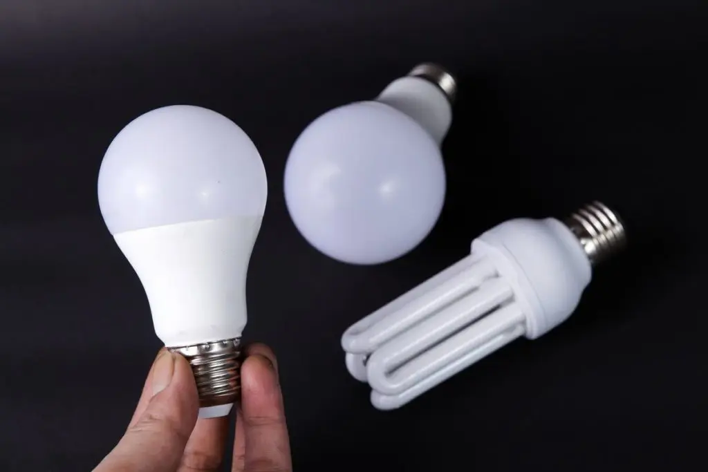 Holding one of the Best Smart Light Bulbs