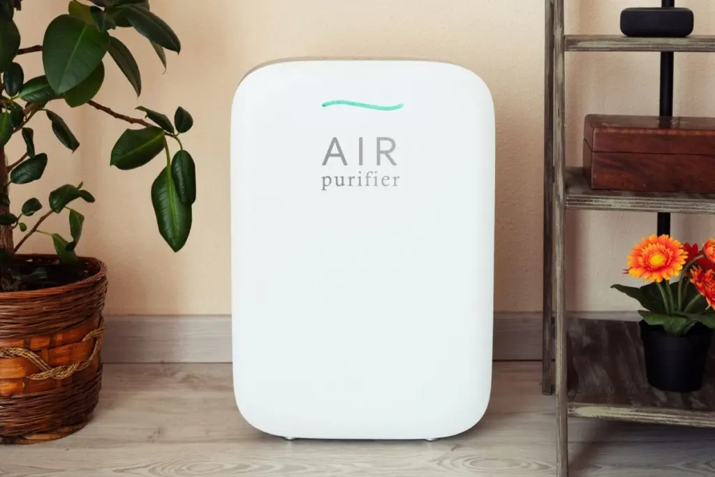 Using one of the Best Air Purifiers for Mold