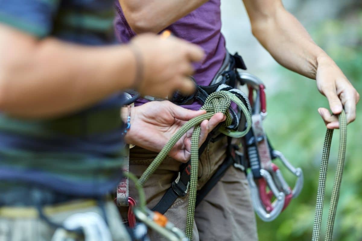 7 Best Climbing Harnesses in 2024 shelf