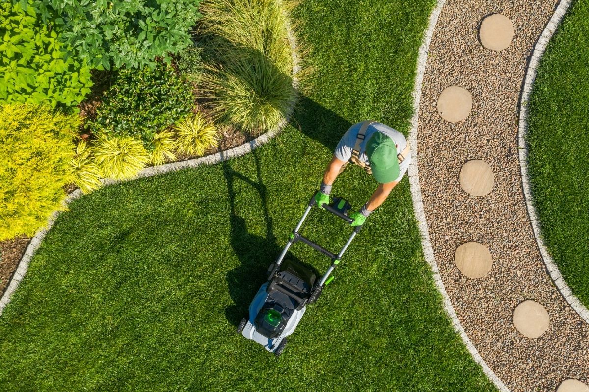 5 Best Cordless Lawn Mowers in 2022