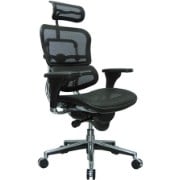 Ergohuman Mesh & Chrome Swivel Chair