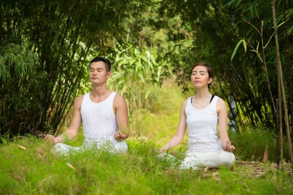 Man and Woman enjoying Tai Chi vs Yoga