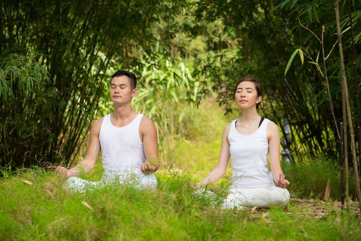 Tai Chi vs. Yoga Comparison & Benefits shelf