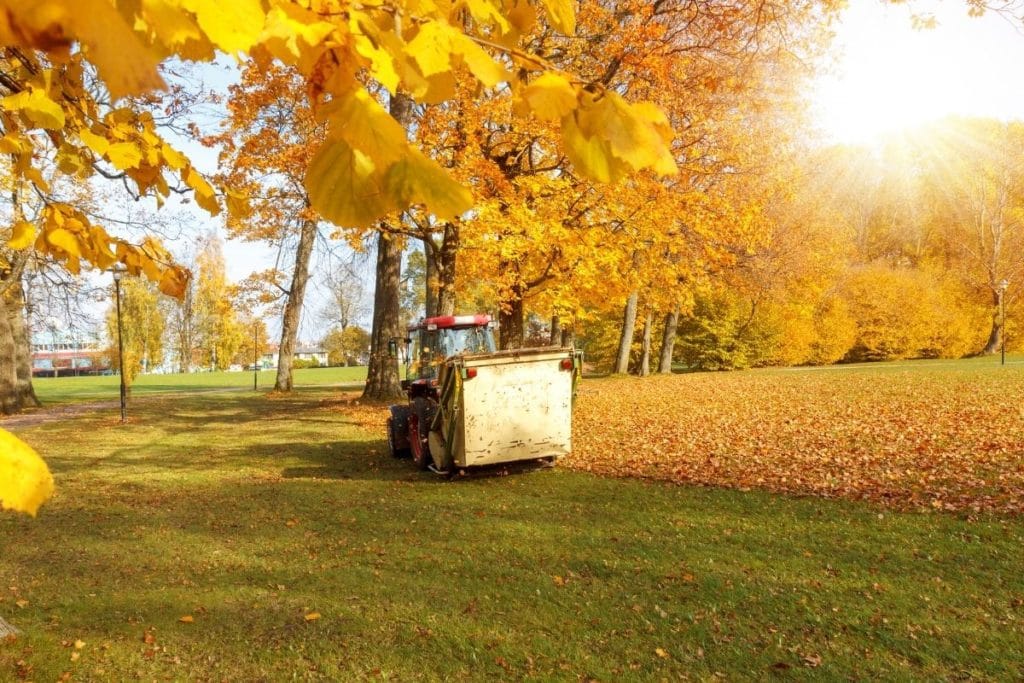 Using the Best Lawn Sweepers to clean leaves during autumn