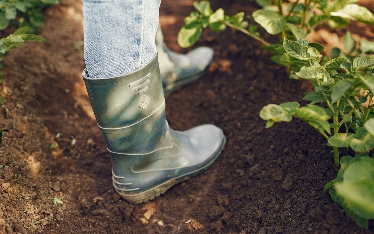 The Best Gardening Shoes