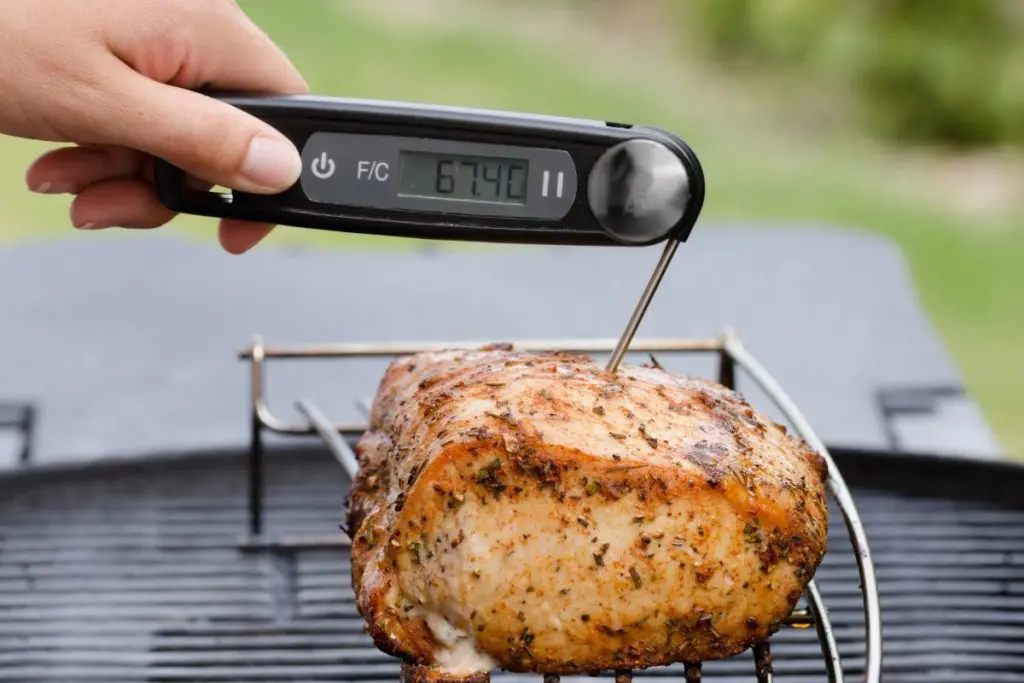 Using a thermometer on some meat