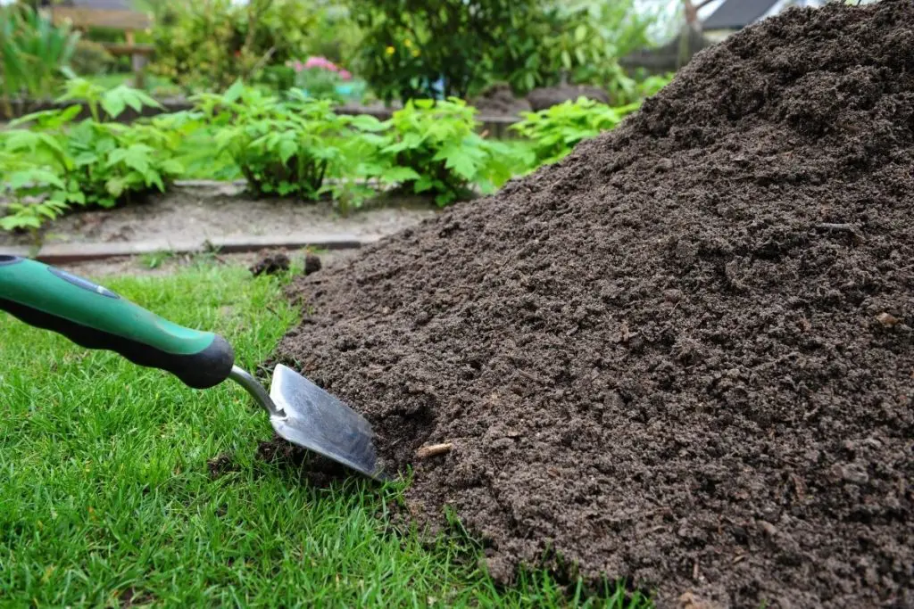A Spade placed in a pile of Compost