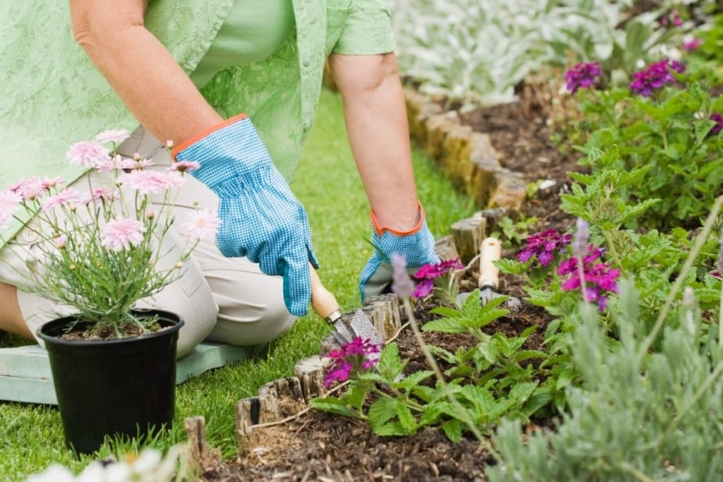 How to Keep weeds Out of Gardens Naturally
