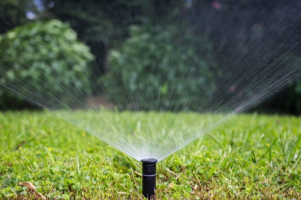 Using automated watering system to water lawn