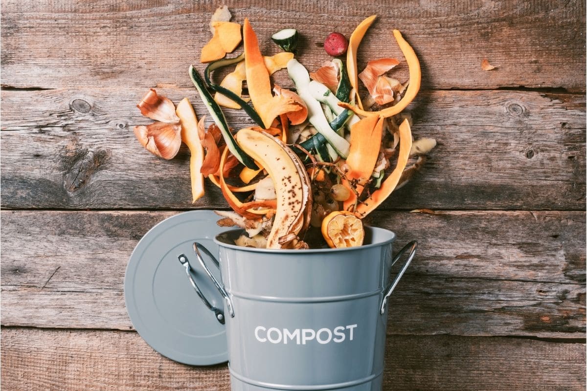 The 9 Best Kitchen Compost Bins in 2022