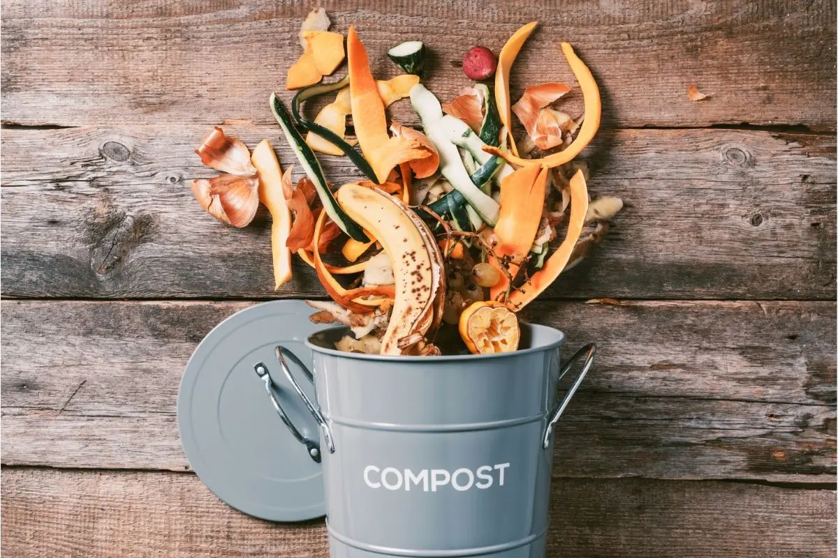 Best Kitchen Compost Bins