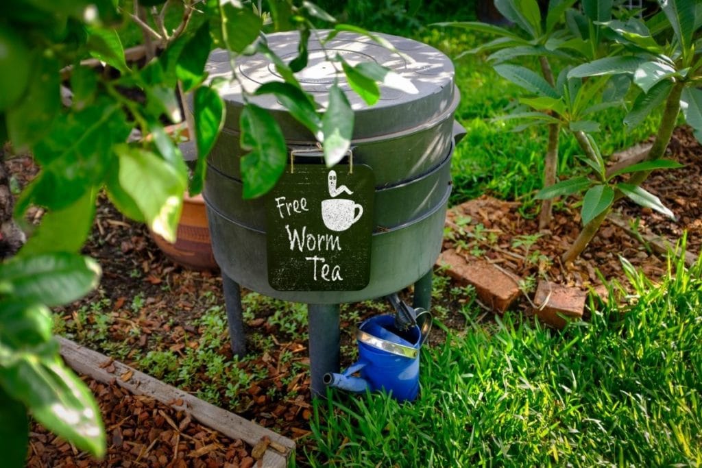 How to make Compost Tea for Plants and Vegetables
