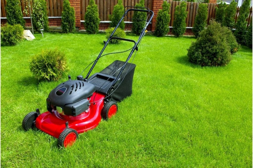 Red Gas Powered Lawn Mower In Yard