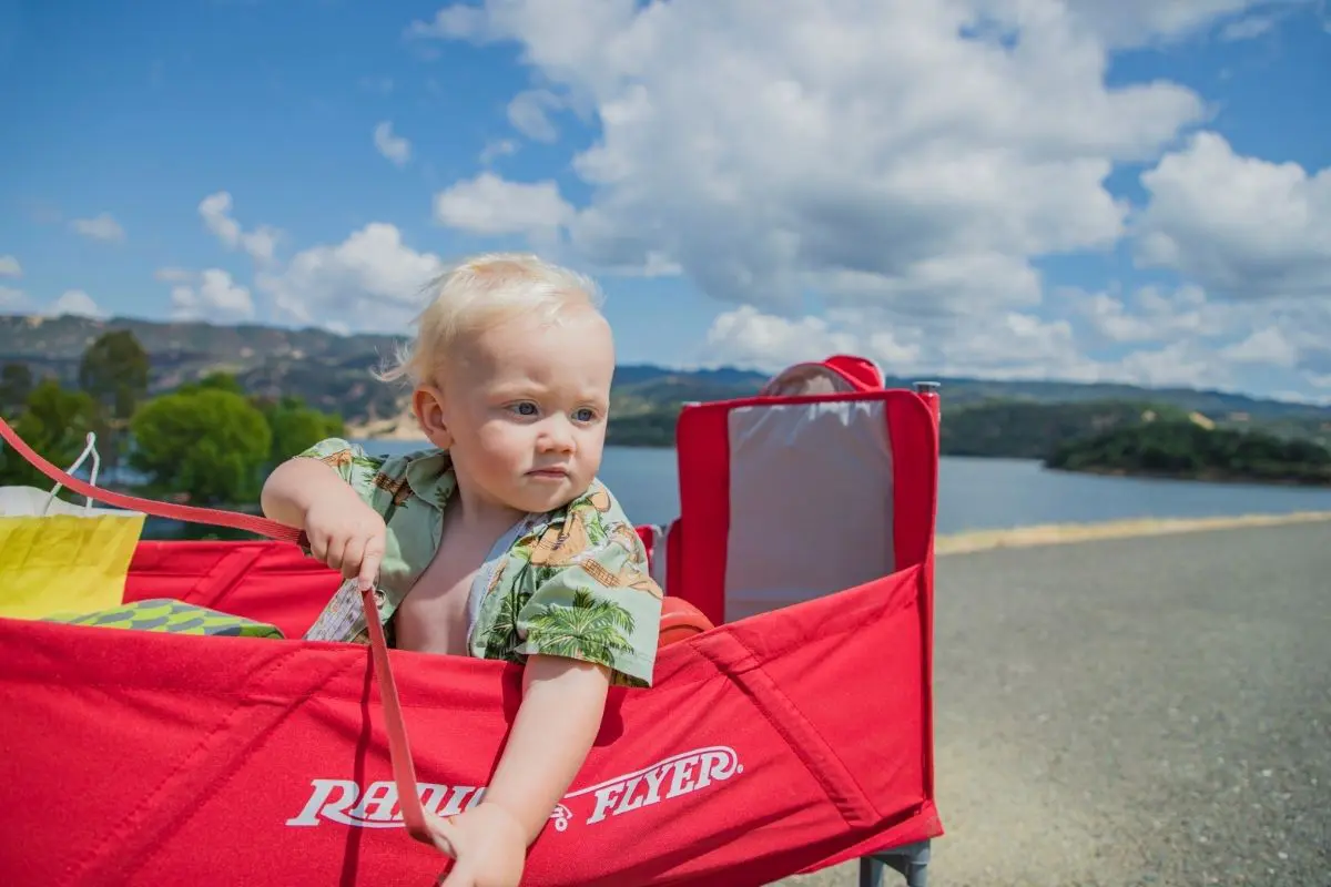 5 Best Wagons for Kids and Families in 2025: Beach, Folding, Canopy